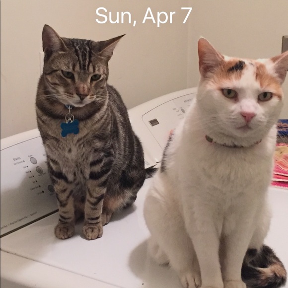 Meet your Posher! - Picture 2 of 2